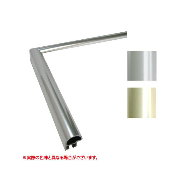 IC 横長 D　 額縁（ポスターフレーム）　横長サイズ 【キャンセル不可】　 (選べるフレームカラー)