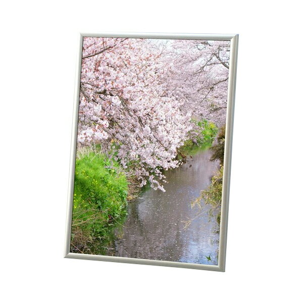 ラクパネ B1 作品厚3mmまで 要法人名 (選べるフレームカラー) 額縁 ガクブチ ふち 薄い プロ仕様 フレーム ワク POP パネル 一般的な パカパカ ...