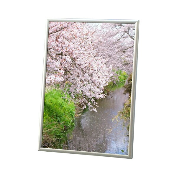 ラクパネ B2 作品厚3mmまで 要法人名 (選べるフレームカラー) ポスターパネル フレーム ワク POP パネル 業務用 ポスター 看板 サイン