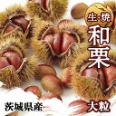 \2025年ご予約受付開始/無農薬 2L以上 生栗 茨城県産 濃厚甘栗 クール便 送料無料 ギフト 贈答にも 返金保証付き 農家直送