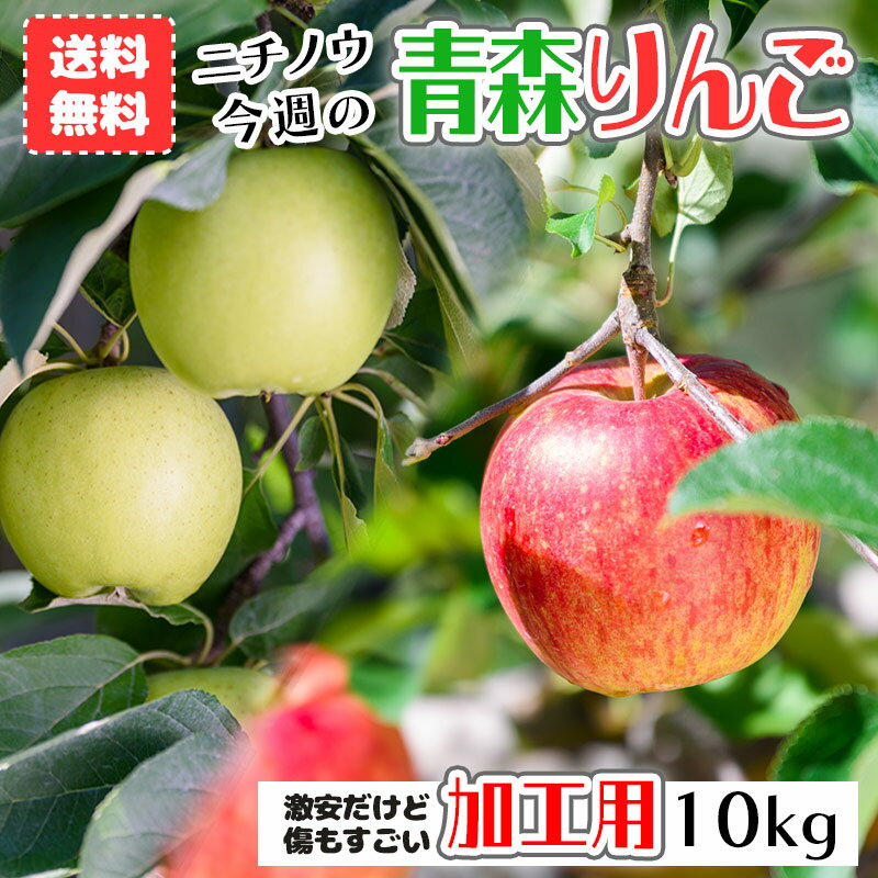 【ふるさと納税】【令和6年出荷受付】ひめかみりんご　約4kg｜先行予約 数量限定 りんご 林檎 フルーツ 果物 デザート 甘味酸味 ギフト 贈り物 北海道 滝川市