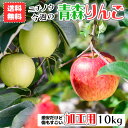 青森 りんご 加工用 10kg箱 送料無料 