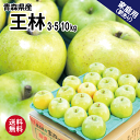 青森県産 りんご 王林 家庭用 訳あり 3kg 5kg 10kg 送料無料 まとめ買い 産地直送