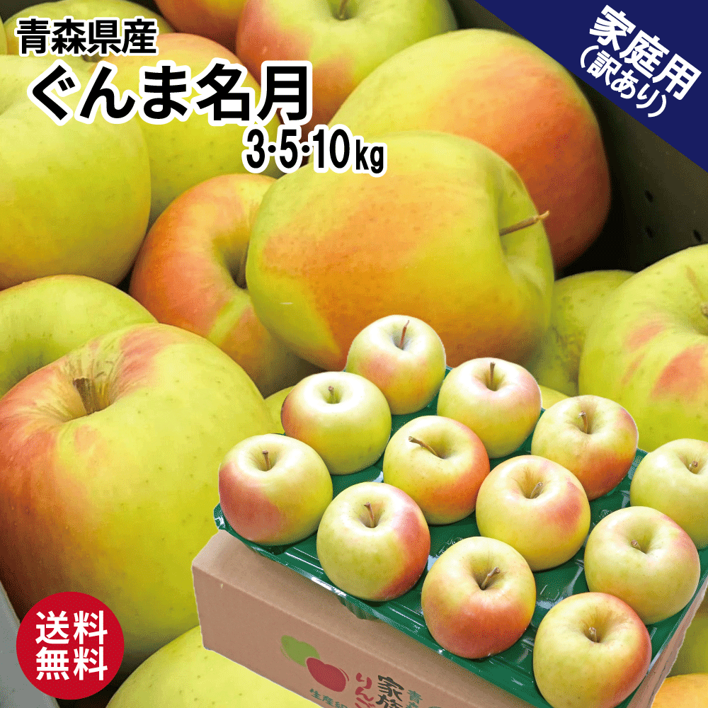 【残り僅か！】青森 りんご ぐんま名月 5kg 10kg 5キロ箱 10キロ箱 訳あり 青森県産 りんご 送料無料 リンゴ 林檎 ぐんめい 名月 めいげつ お買い得 まとめ買い 人気 青森県産 青森 もぎたて ジューシー 産直 産地直送 10キロ 幻のりんご