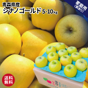 青森 りんご シナノゴールド 5kg 10kg 5キロ箱 10キロ箱 訳あり 青森県産 りんご 送料無料 リンゴ 林檎 シナゴー シナノ シナノG お買い得 まとめ買い 人気 青森県産 青森 もぎたて ジューシー 産直 産地直送 10キロ 大人気 甘い 酸っぱい 甘酸っぱい シャキシャキ ゴールド