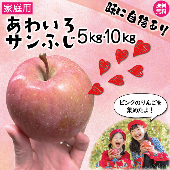 青森 りんご あわいろサンふじ ピンク りんご 5kg 10kg 5キロ箱 10キロ箱 訳あり 青森県産 りんご 送料無料 リンゴ …