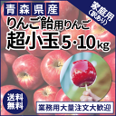 りんご 超希少☆ りんご飴用りんご 10kg りんご 夏祭り 屋台 小玉 超小玉 サンふじ アルプス乙女 詰め合わせ セット ギフト リンゴ 林檎 王林 サンふじ シナノ りんご飴 リンゴ飴 リンゴアメ 祭 ねぷた 青森 弘前 青森県産 青森産りんご 桜まつり 60玉 66玉 りんご飴 リンゴアメ