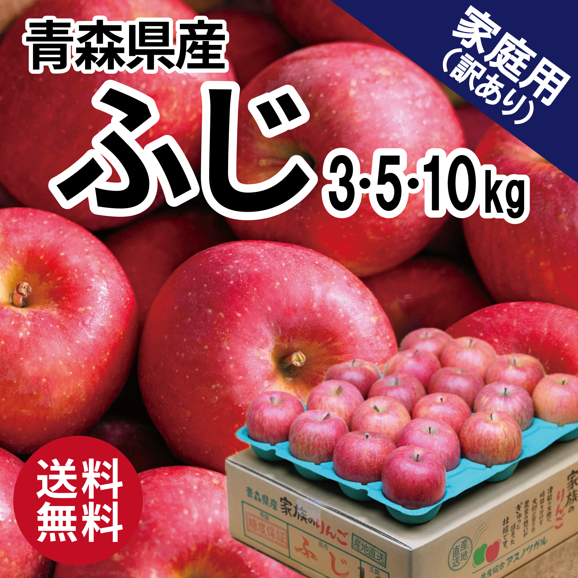 青森 りんご ふじ 有袋ふじ 5kg 10kg 5キロ箱 10キロ箱 訳あり 青森県産 りんご 送料無料 リンゴ 林檎 お買い得 まとめ買い 人気 青森県産 青森 もぎたて ジューシー 産直 産地直送 10キロ 大人気 甘い シャキシャキ おいしい シナノゴールド ぐんま名月 シナノスイートのサムネイル