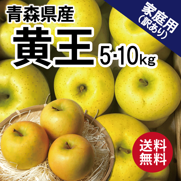 青森 りんご 黄王 5kg 10kg 5キロ箱 10キロ箱 訳あり 青森県産 りんご 送料無料 リンゴ 林檎 きおう キオウ 名月 めいげつ お買い得 まとめ買い 人気 青森県産 青森 もぎたて ジューシー 産直 産地直送 10キロ 幻のりんご ぐんま名月 甘い ジューシー 甘い 10キロ 甘いのサムネイル