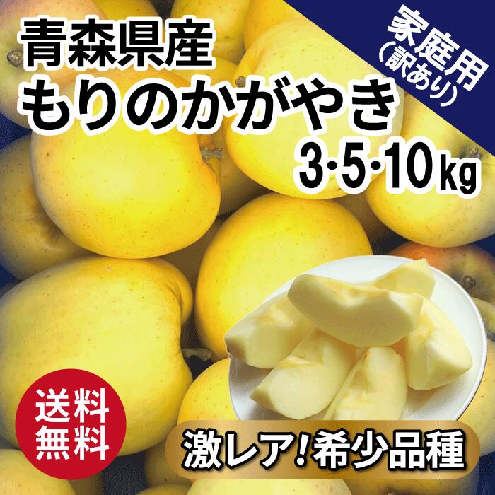 青森 りんご もりのかがやき 激レア 希少品種 5kg 10kg 5キロ箱 10キロ箱 訳あり 青森県産 りんご 送料無料 リンゴ 林檎 もりのかがやき 王林 ぐんま名月 お買い得 まとめ買い 人気 青森県産 青森 もぎたて ジューシー 産直 産地直送 10キロ 葉とらず 甘い ジューシーのサムネイル