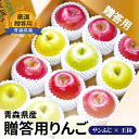 (クール便) 贈答用りんご 青森産 サンふじ 王林 3kg/5kg/10kg 青森県産 りんご 送料無料 サンフジ 産地直送 リンゴ 林檎 通販 お年賀 ご挨拶...
