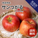 【8月下旬順次発送予定】青森県産りんご サンつがる 3kg 5kg 10kg 訳あり 送料無料 産地直送