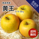 【8月下旬順次発送予定】青森県産 りんご 黄王 訳あり 3kg 5kg 10kg 送料無料 産地直送