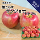 青森県産 りんご 葉とらずサンジョナ 訳あり 3kg 5kg 10kg 訳あり 送料無料 産地直送
