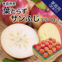 家庭用訳あり 青森産 りんご 葉とらずサンふじ 3kg 5kg 10kg 葉乃果 送料無料 産地直送