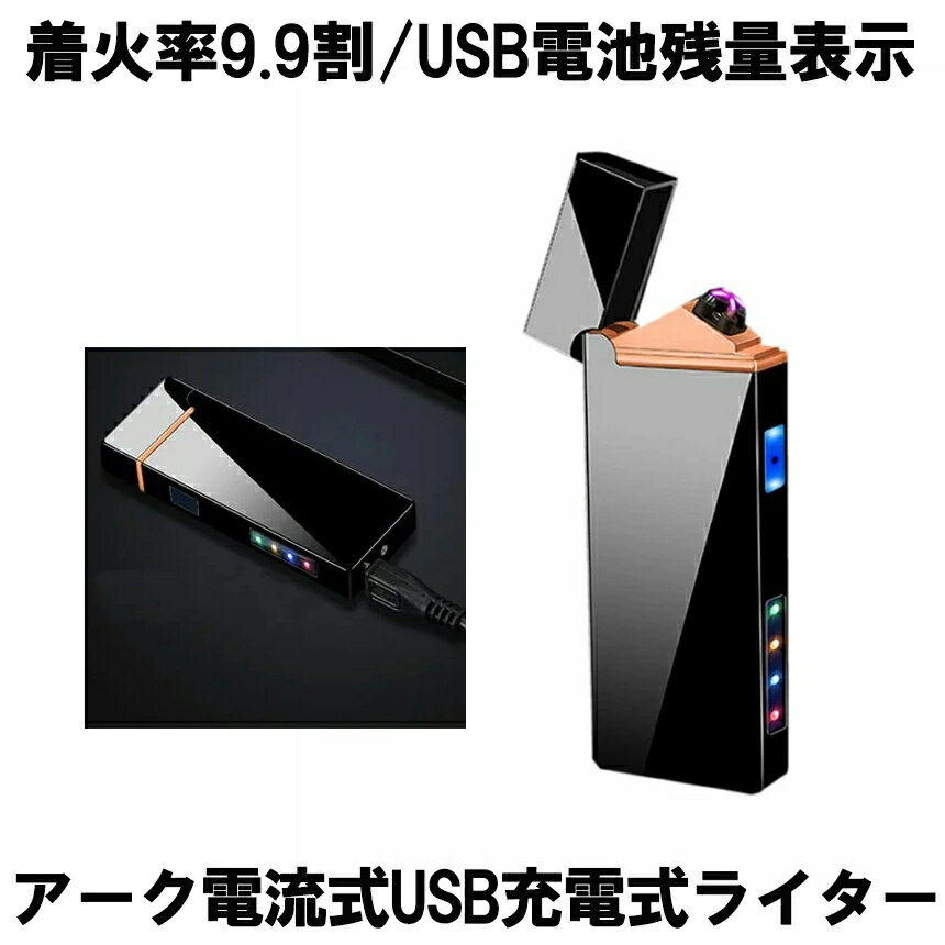 楽天日本美康　楽天市場店【USB充電式で手軽に使える】 電子ライター USBライター プラズマライター アークライター 無煙ライター ライター USB充電式ライター Wアーク 電流 電子 小型 軽量 タバコ シガー 軽量 携帯 LED 煙草 花火 防風 ARKDDEA