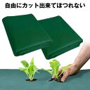 【劣化しにくい】 防草シート 不織布 1m × 11m 2枚セット ピン Uピン杭 黒丸付 100本セット 固定ピン 半永久 防草 シート 除草 雑草 防止 ぼうそう 草 ざっそう 除草シート 雑草シート 草刈り 不要 砂利下 芝生 遮光 畑 庭 草抜き くさ じょそう 除草剤 不要 春 夏 秋 冬