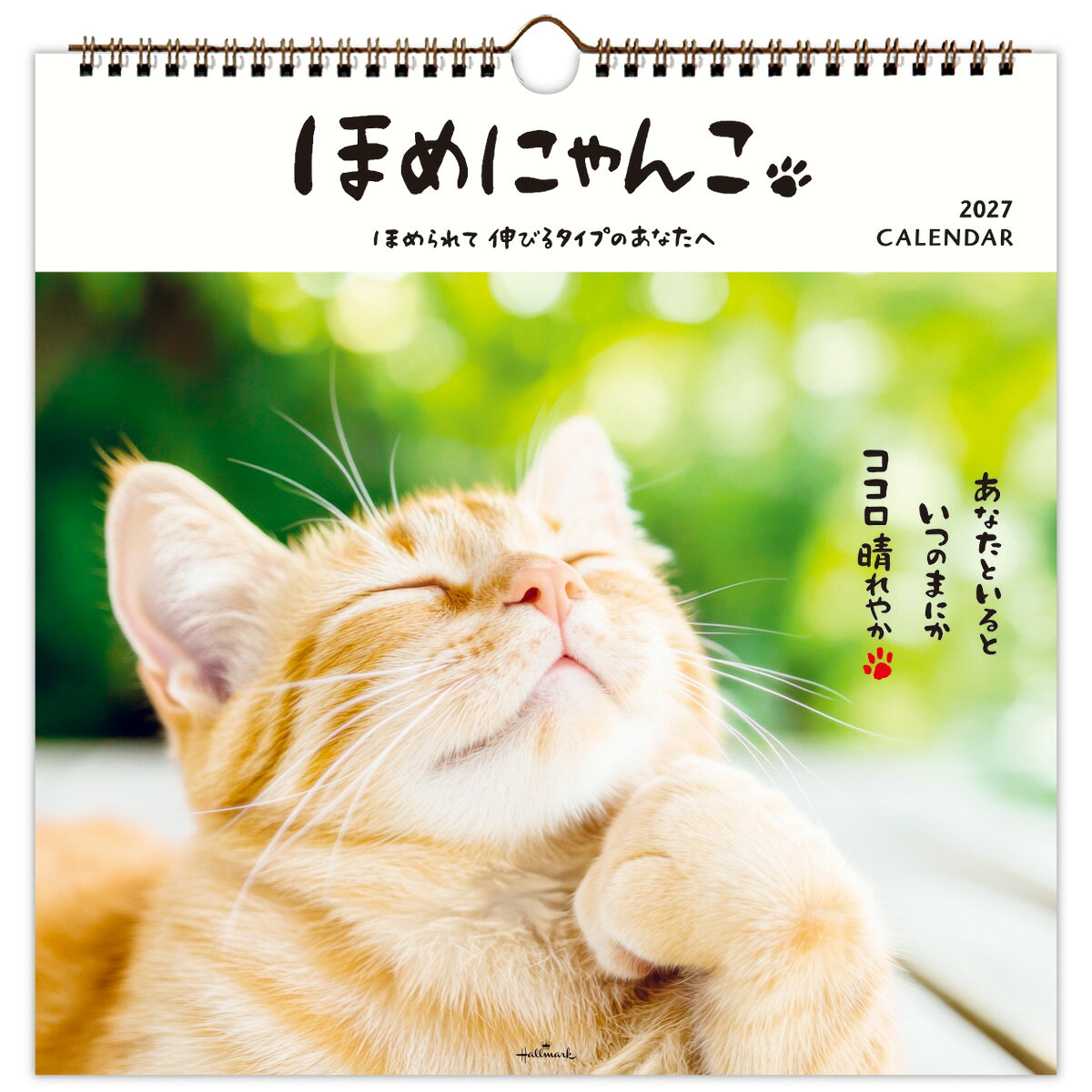 ほめにゃんこ 壁掛け リングカレンダー大 2027 猫 ネコ ねこ柄