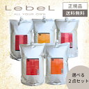 【2点セット】 ルベル イオ クレンジング シャンプー トリートメント 2500ml 詰め替え レフィル