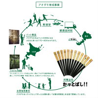 【メール便送料込み】折れたバットで作った箸かっとばし!!ペットマーク/ヤクルトスワローズ中日ドラゴンズ阪神タイガース広島カープ横浜ベイスターズ巨人ジャイアンツ西武ライオンズ千葉ロッテマリーンズ楽天日本ハムソフトバンクオリックス23.5cm/21.5cm/18cm