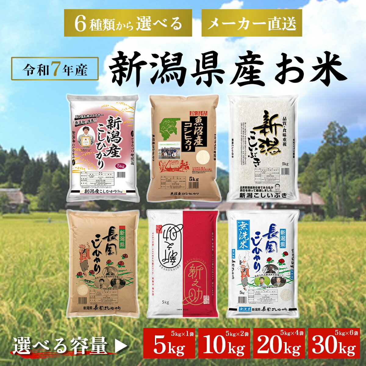 選べる6種銘柄容量令和7年産新潟県...