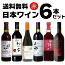 赤ワイン セット 送料無料 飲み比べ ソムリエ おすすめ デイリー 日本ワイン 6本セット 赤 まるき葡萄酒 朝日町ワイン 盛田甲州ワイナリー 井筒ワイン ドメーヌレゾン サントネージュ セット 6本 母の日 父の日 お中元 お歳暮 贈り物 jd6【送料無料※一部地域は除く】