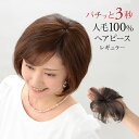人毛100%ミニつむじヘアピース レギュラー ヘアピース 自然 分け目隠し 白髪隠し 薄毛カバー トップカバー 部分ウィッグ 増毛 ワンタッチ 簡単装着 ふんわり ボリュームアップ つむじウィッグ 小さいウィッグ ミニウィッグ 白髪対策 総手植え 自然色 ブラック 栗色 ブラウン