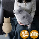 蓄熱 充電式 エコ 湯たんぽ あったか ネコライク 猫タイプ 1個 - コードレス 蓄熱式 ゆたんぽ 充電 ふわふわ カイロ アンカ ぬくもり リラックス 安心...