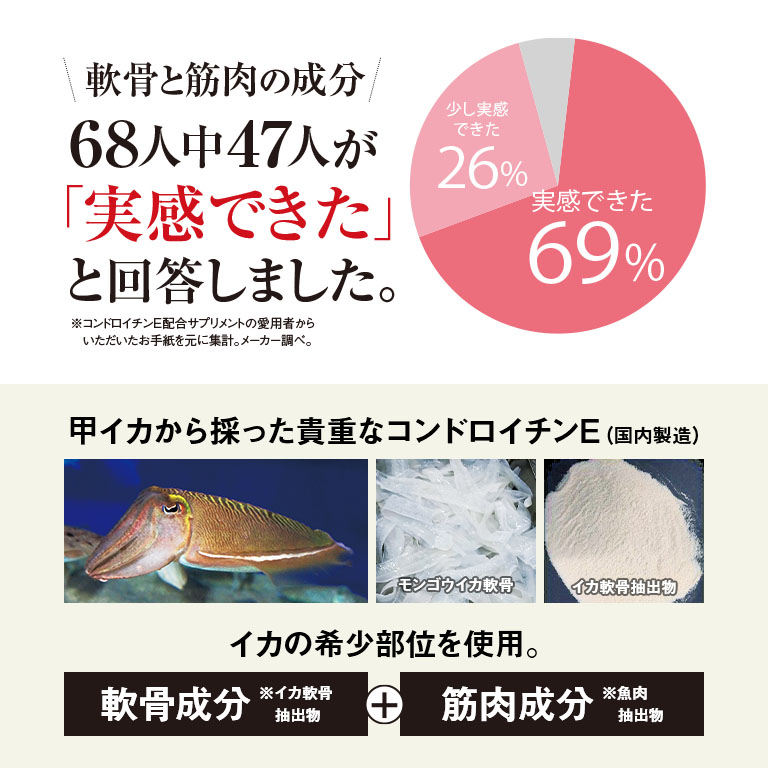 日本直販 楽天市場店のコンドロイチンEプラス 90粒 2本組 - 新型コンドロイチンE型 グルコサミン デビルズクロー ヒアルロン酸 コラーゲン サプリ サプリメント 日本製｜アングル3