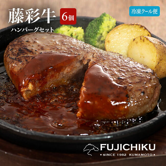 直送 熊本 藤彩牛 ハンバーグ 200g