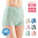 吸水ショーツ　一分丈　for ladies (吸水量目安50cc) ベージュ　L【尿漏れ】【尿モレ】【失禁】【婦人用】【吸水下着】【女性用】【産後】【テイジン】