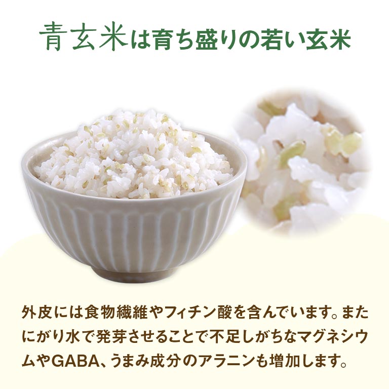 国内産 ぷちぷち発芽青玄米 2袋（1,050g×2） 発芽玄米 青玄米 国産玄米 玄米 食物...