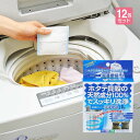 洗濯槽クリーナー 洗濯槽快 セット (クリーナー×12包、ネット×2枚) - 洗濯槽 洗剤 天然 クリーナー 洗濯機 掃除 排水管 カビ 菌 除菌 消臭 予防 対策 防止 洗濯槽洗剤 入れるだけ 簡単 洗濯爽快 洗濯壮快