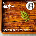 ＼母の日まだ間に合う!／うなぎ長焼き大 約120g×2枚セット/タレ小袋付/お祝い お礼 内祝 お返し 手土産 ギフト 誕生日 お取り寄せ 鰻 ウナギ ひつまぶし うな重 国産 贈答 贈り物 グルメ 父の日 御中元 土用の丑の日［set33］