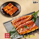 【送料無料】国産 特大蒲焼140g+きざみうなぎ85g お試しセット/お祝い 手土産 ギフト お取り寄せ 鰻 ウナギ ひつまぶし うな重 スタミナ 贈答 贈り物...