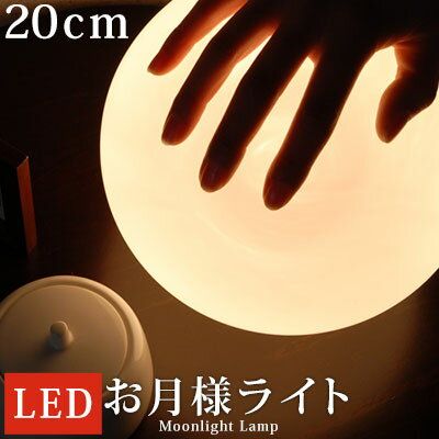 LED電球専用 スタンド照明 フロアス