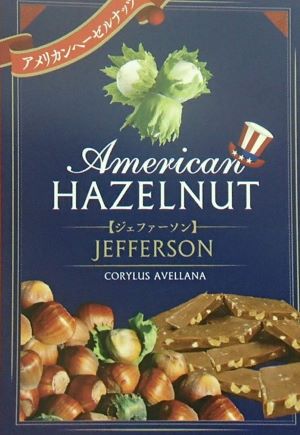 ヘーゼルナッツ（ジェファーソン）　苗　苗木　《果樹苗》アメリカンヘーゼルナッツ