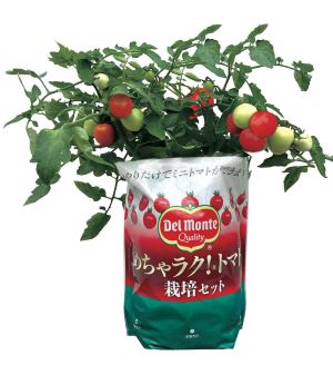 肥料もいらない！ 支柱もいらない！めちゃラク！&#174;トマト 栽培セット（デルモンテ）のサムネイル
