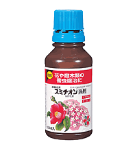 ѡߥޡ100mlۡͧر
