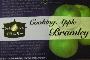 クッキングアップル　ブラムリー：果樹苗　苗木　苗