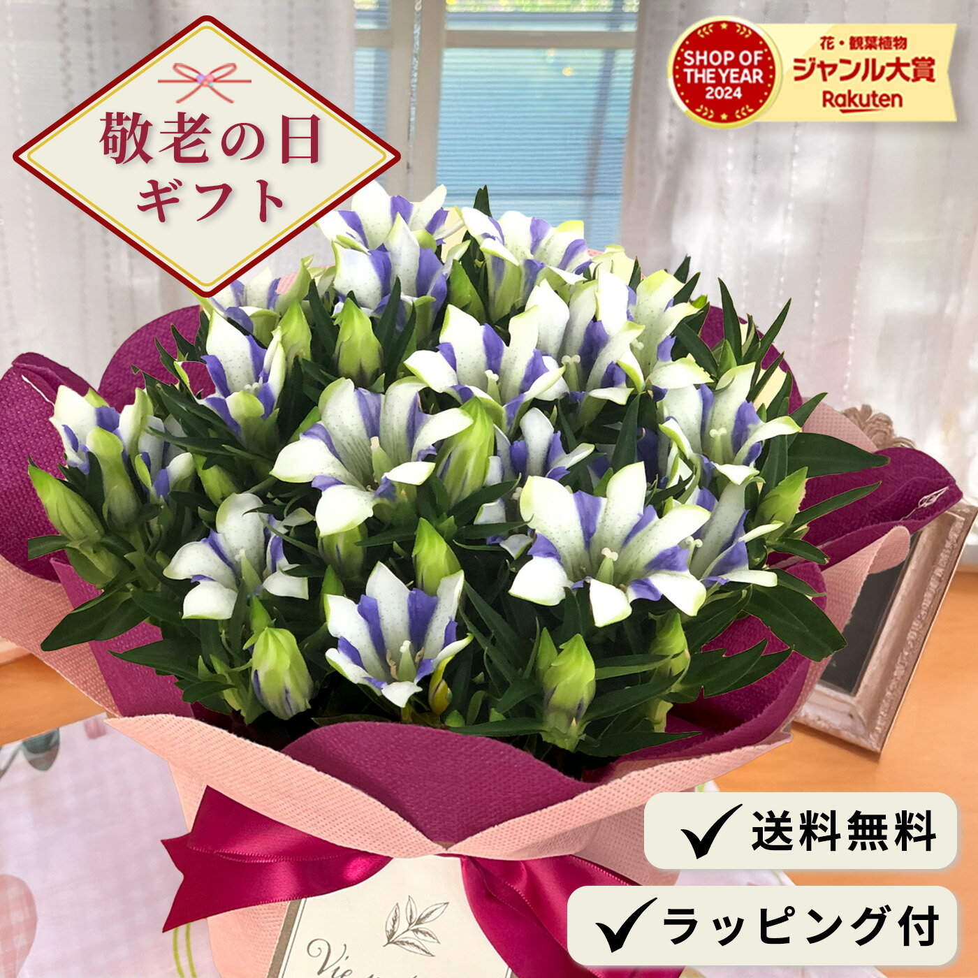 敬老の日 プレゼント リンドウ 心美白寿 5号鉢 送料無料 敬老ギフト 花 鉢植え りんどうのサムネイル