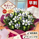 【早割】 敬老の日 プレゼント リンドウ 心美白寿 5号鉢 送料無料 敬老ギフト 花 鉢植え りんどう