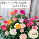 予約販売 ミニバラ 10個セット 3号ポット 愛安ローズ オリジナル品種 コンプリート 福袋 送料無料 四季咲き 強香 香り バラ 薔薇 バラ苗 苗 ars 11月上旬以降発送