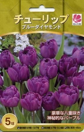 予約販売 花の大和 球根 人気のチューリップ ブルーダイヤモンド5球セット hyk 10月上旬以降発送