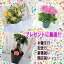 資 ラッピング 包装 ギフト 220円