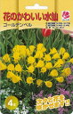 予約販売 花の大和 球根 水仙 花のかわいい水仙 ゴールデンベル 4球 hyk 10月中旬以降発送