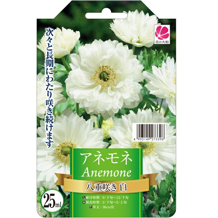 予約販売 花の大和 球根 アネモネ 色別 八重咲き 白 25ml 10月中旬以降発送のサムネイル
