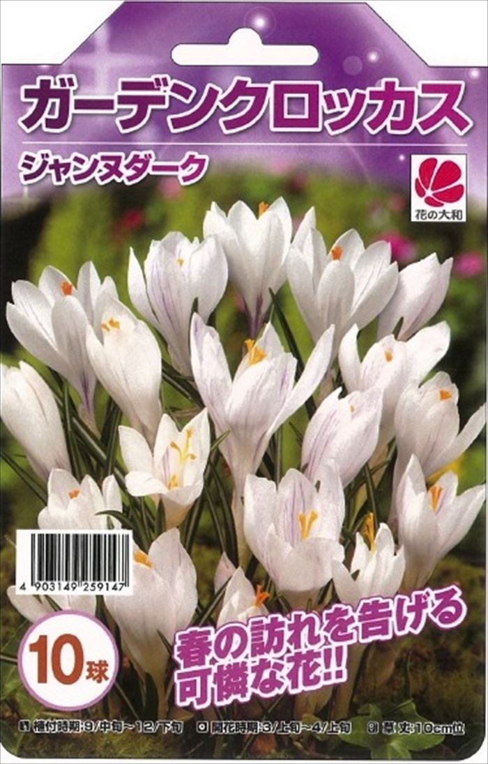 クロッカス 植物図鑑