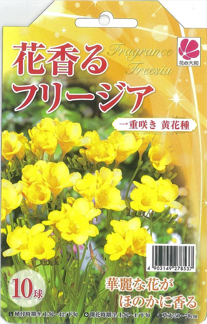 花通販Happyｶﾞｲﾄﾞ | 花言葉にいい意味を持つ花一覧|花贈り|希望･愛･感謝･祝福･幸福・・!!