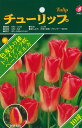予約販売 球根 チューリップ ベストチョイス ページポルカ 福花園 8球 fke 10月中旬以降発送
